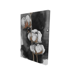 Fleurs de cotton