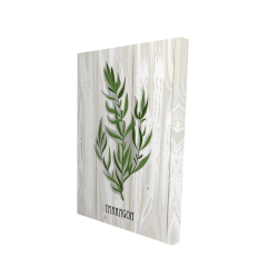 Estragon sur bois
