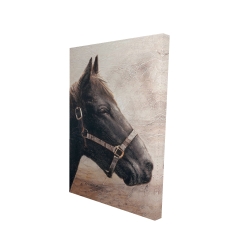 Gallopin le cheval brun