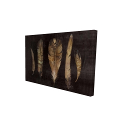 Ensemble de plumes brunes