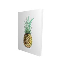 Watercolor pineapple
