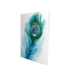 Long peacock feather