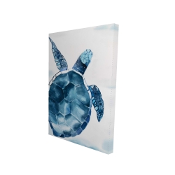Tortue bleu
