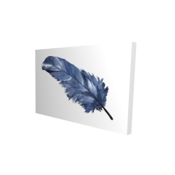Blue feather