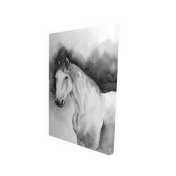 Domino le cheval