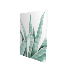 Watercolor striped desert plant