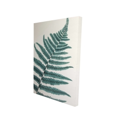 Beautiful fern