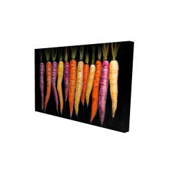 Variétés de carottes