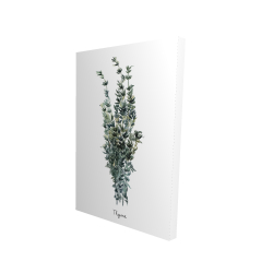 Canvas 24 x 36 - 3D - Thyme leaves bundle - en
