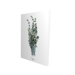 Canvas 24 x 36 - 3D - Thyme leaves bundle - fr