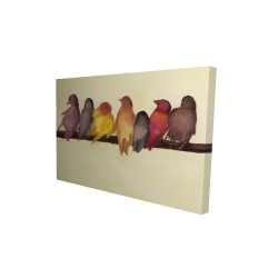 Bird family