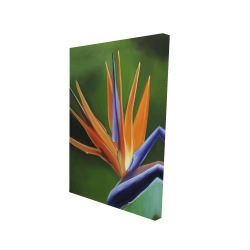 Canvas 24 x 36 - 3D - Bird of paradise flower 