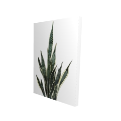 Toile 24 x 36 - 3D - Plante couteau