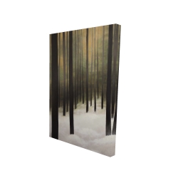 Forêt silencieuse