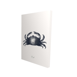 Crabe bleu