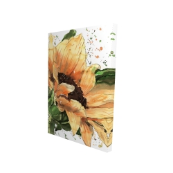 Sunflower in bloom