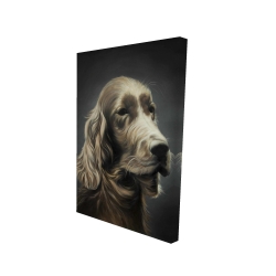 Field spaniel
