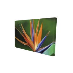 Canvas 24 x 36 - 3D - Bird of paradise flower 