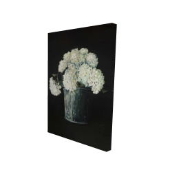 White hydrangea flowers