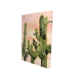 Cactus weberocereus