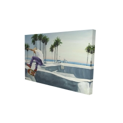 Planchodrome californie