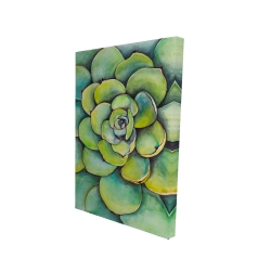Succulent à l'aquarelle
