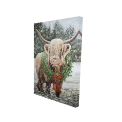 Highland christmas cow
