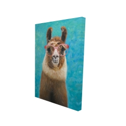 Aimable llama