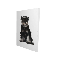 Schnauzer nain