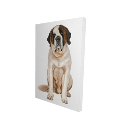 Saint-bernard