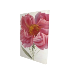Canvas 24 x 36 - 3D - Pink peony flower