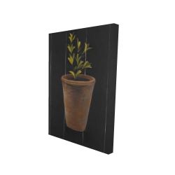 Canvas 24 x 36 - 3D - Plant of marjolaine