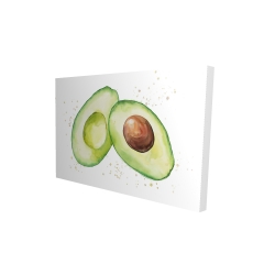 Avocat ouvert à l'aquarelle