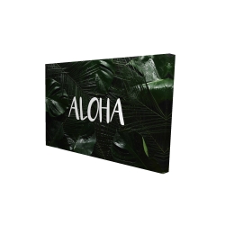 Tropical aloha