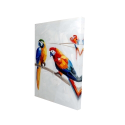 Parrots on a branch