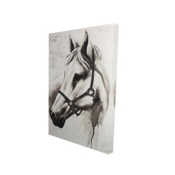 Canvas 24 x 36 - 3D - Flicka the white horse