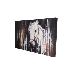 Canvas 24 x 36 - 3D - White horse in the dark