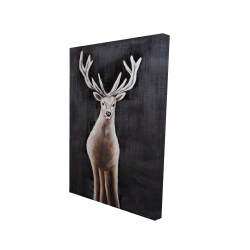 Lonely deer