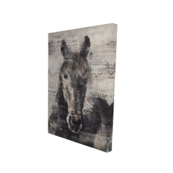 Cheval abstrait et typographie