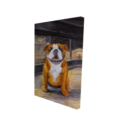 Bouledogue souriant