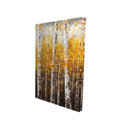 Canvas 24 x 36 - 3D - Birches by sunny day