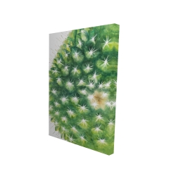 Watercolor mini cactus