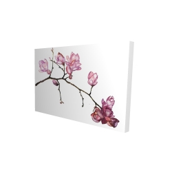 Branche de fleurs de cerisier