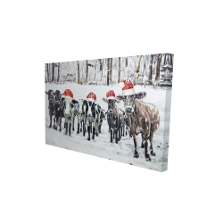Curious christmas cows