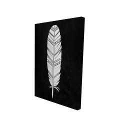 Native american feather