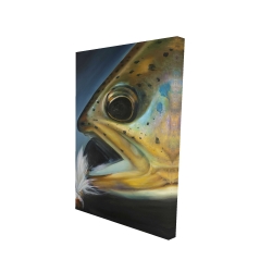 Golden trout with fly fishing flie