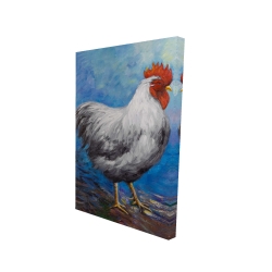 Poule grise
