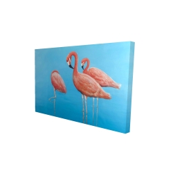 Group of flamingos