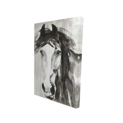 Magnifique cheval sauvage