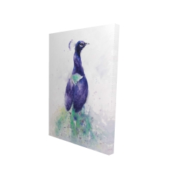 Canvas 24 x 36 - 3D - Graceful peacock